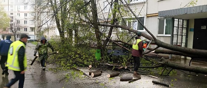 Новини Харкова: буревій повалив дерева місто